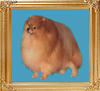 18659z_bavanews_master_skylark.jpg