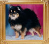 18670z_Bavanews_Tar_Baby_at_Weepawz.jpg
