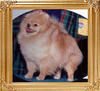 18870z_Sweet_Charlotte_Of_Lenette.jpg