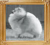18894y_Windmist_By_Invitation_Only_Can_Ch.jpg