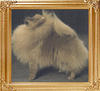 34104z_Dochlagiie_Dazzlin_Flash_Aust_Ch.jpg