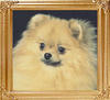 34105z_Dochlaggie_Deadly_Secret_Aust_Ch.jpg