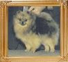 34197z_Dream_Weavers_Cloud_Jumper_Ch.jpg