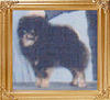 35806z_Jenuwayne_Kemo_Saubie_Can_Ch.jpg