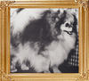 37004z_Maykens_Lucky_Cher_Ch.jpg
