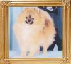 37721z_OToyland_Dukes_Golden_Knight_Can_Ch.jpg