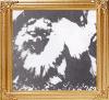 38817z_Riders_Sungold_Golden_Gidget_Ch.jpg