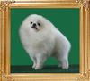 42108z_Agino_of_Chiao_Li_Ya.jpg