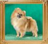 Canton_Anita_11_mon1_wk.jpg