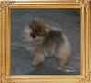 Canton_Believe__In_Miracle_3mo_0155.jpg
