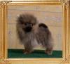 Canton_Bralynns_Gold_3mos_1.1lbs_6912.jpg