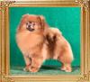 Canton_Bravia_Harvey_2_yrs_1_mo_final_8907.jpg