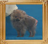 Canton_Cold_Ecstasy_4mo_1.43lbs_P6-6_4505.jpg