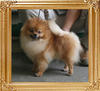 5lbs at 1year 2months Canton_Dream_Barbie_1yr_2mo_5lbs_6717_.jpg