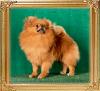 Canton_Edna_Warrior_1yr_6mos.jpg