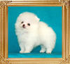 Canton_Fair_Magic_46075.jpg