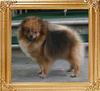 Canton_Hagar_Herta_6.27lbs_1yr_11mo_6619.jpg