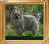 Canton_Irma_La_Douche__6785_5.5mo_3.3lbs_47531.jpg