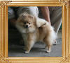 Canton_Kyla_Kristen_1yr_1wk_5.5lbs_6839.jpg