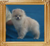 Canton_Kyle_Lennon_4mo_3.9lbs_P6-5_4199.jpg