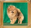 Canton_Love_Me_More._1_yr_0400.jpg