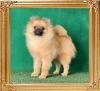 Canton_Mango_Float_7mos.jpg