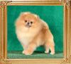 Canton_Maximillian_4443_1.jpg