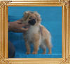 Canton_Michelle_Pfeiffer_P6-6_4.84lbs_4mo_2wk_2290.jpg