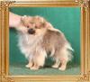 Canton_Queen_Beatrice_2726.jpg