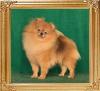 Canton_Queen_Ula_9317_1.jpg