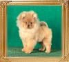 Canton_Rocco_King.jpg