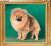 Canton_Rum_Raisin_7_months.jpg