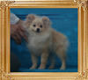 Canton_Sunrise_Debutante_352lbs_4mo_2wk_P6-6_1594_.jpg