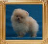 Canton_Taylor_1.1lbs_2mo_2557.jpg