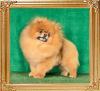 Canton_Top_Class_4yrs_2mos_3wks_2896.jpg