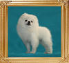 3lbs at 3 months Canton_White_Mountain_3mo_3lbs.jpg
