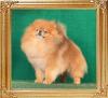 Canton__the_Duke_8052_final_final.jpg