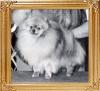 Creiders_Boxcar_Willie_ch_33627.jpg