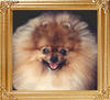 Doo-Shays_Baby_Face_Nelson_Ch_10134.jpg