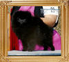 Expression_It_Is_What_It_Is_Ch_42358.jpg