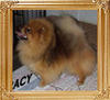 Finchs_Baby_Likes_To_Rockit_10167.jpg