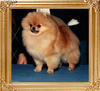 Heartlands_Classic_Treasure_Am_Ch_35299.jpg