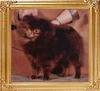 Janesas_Esther_Price_47783.jpg