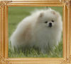 Janesas_Naturally_Awesome_2_47787.jpg