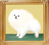 Mascot_of_Chiao_Li_Ya.jpg