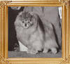 Merrymonts_Lil_Red_Bearon__Ch_37174.jpg