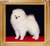 Reinswind_of_Chiao_Li_Ya.jpg