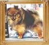 Rodis_Ceaux-Case_On_Ice.jpg