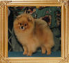 Southlands_Showstopper_ch_10587.jpg