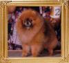 Sweethearts_Puta_Cork_In_It_40137.jpg